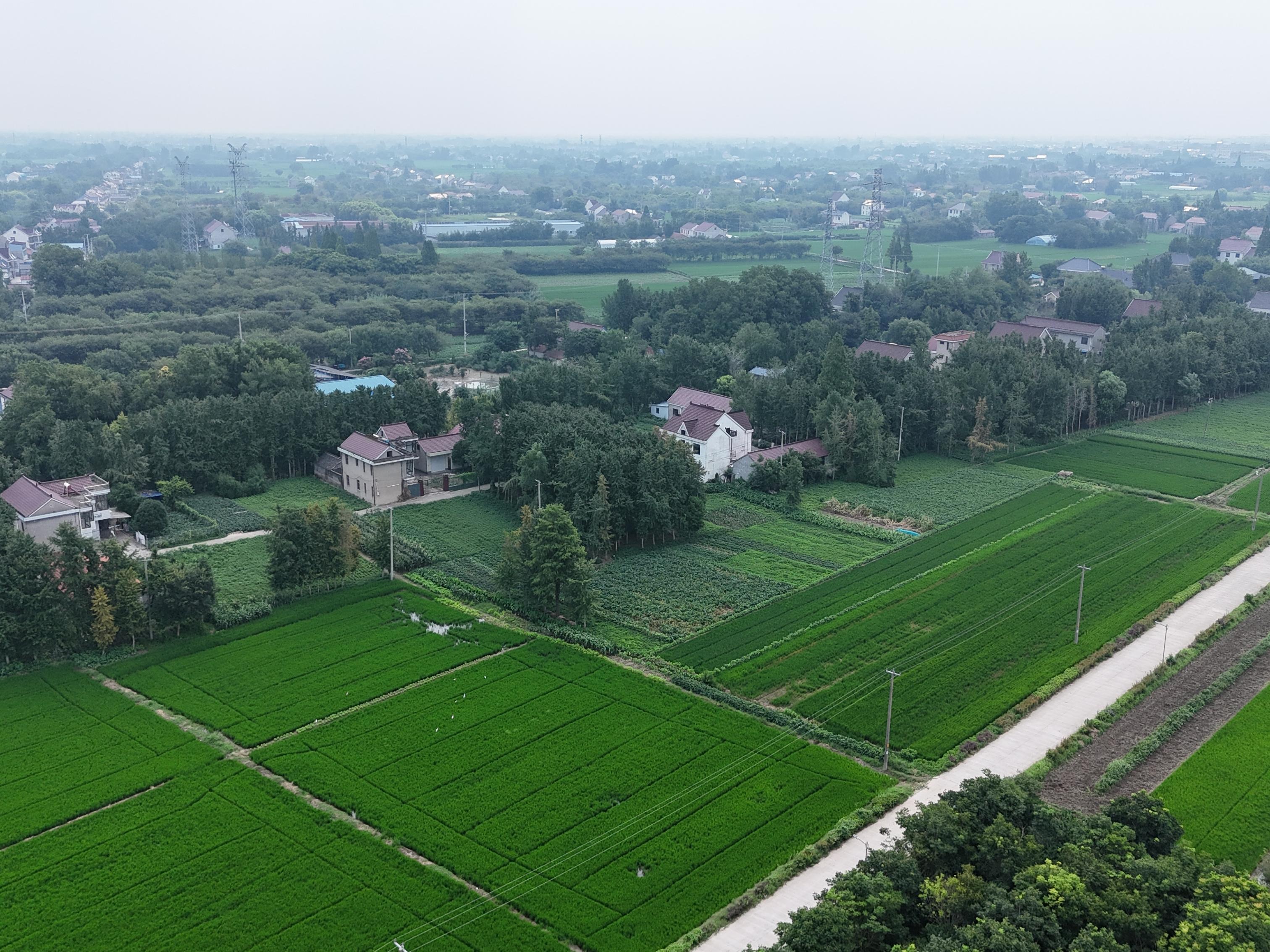 1757657265365095197.jpeg 1757657265365095197.jpeg