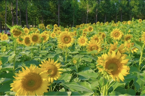 1758795057900086800.jpg 崇川 9.25 2.1.jpg