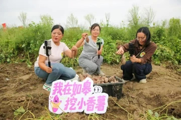 1760174129219001928.jpg 如皋 10.11.jpg