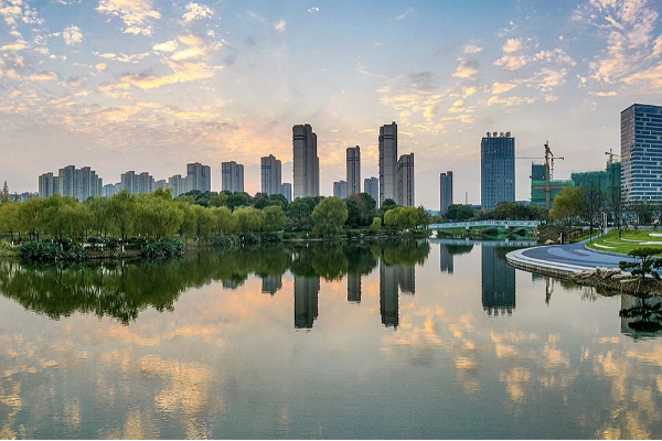 1762397538296003081.jpg netda 600.jpg