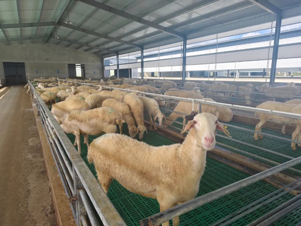 1764926855659035900.jpg 图片6.jpg