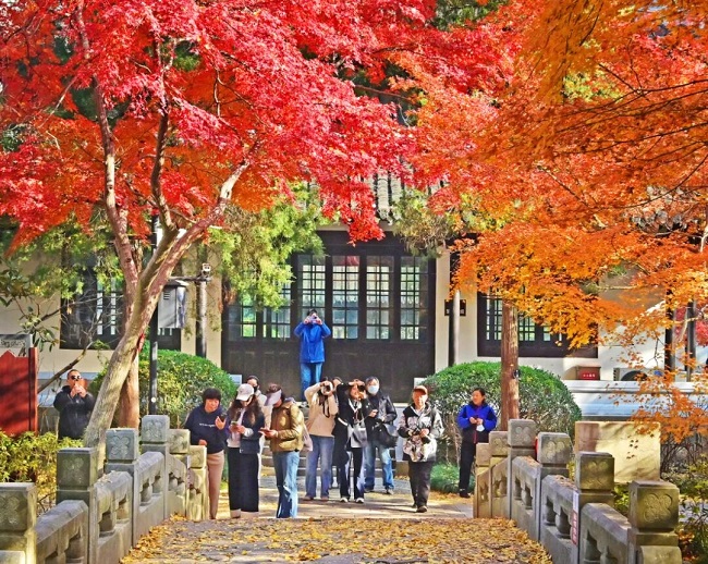 1765268896648043147.jpg 640.jpg