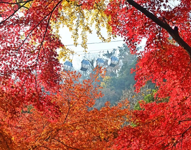 1765268905558066836.jpg 640 (1).jpg