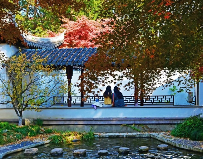 1765268913889051629.jpg 640 (2).jpg