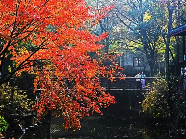 1765268929295044991.jpg 640 (3).jpg