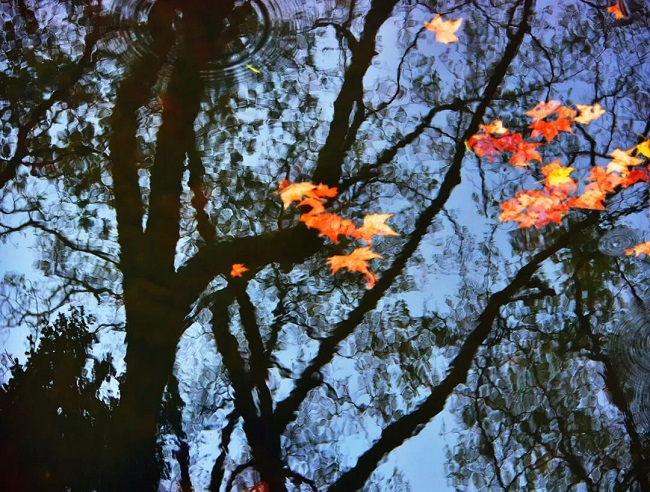 1765268939632000479.jpg 640 (4).jpg