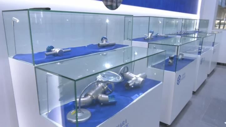 NHIZ's semiconductor industry gains momentum with 80-year-old tech giant