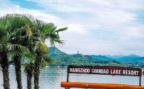 Hangzhou airport.jpg