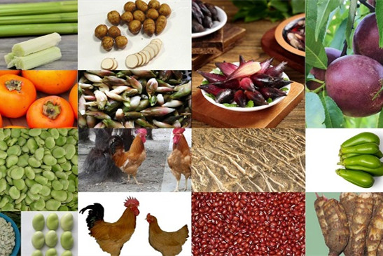 e52cc752-a922-47d2-ad51-dabae17687f1_l - 副本.jpg