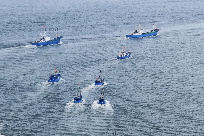 海门8.12 标题图.jpg