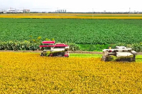 海门 9.26 1，1.jpg