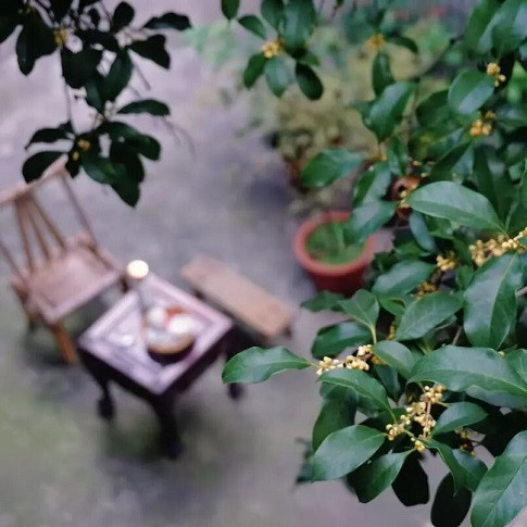 640 (1) - 副本.jpg