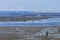 1854842035628015004 (1).jpg