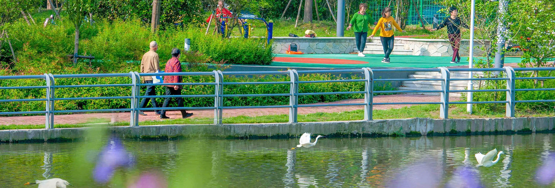 Ecological revival underway in Haimen 