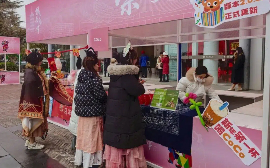 Chongchuan holds three-day New Year carnival 