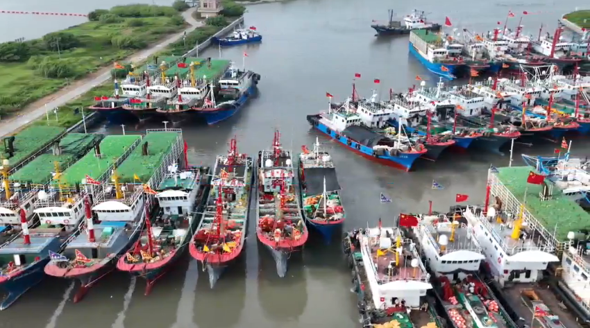 Partial lifting of fishing ban brings fresh seafood back to market