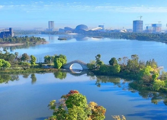 1754366756322004527.jpg nantong xu congjun.jpg