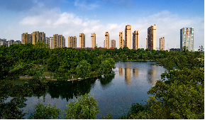 Luohuaxin initiates supply chain collaboration in display technology