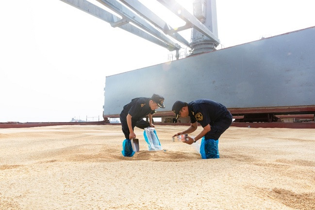 Nantong's foreign trade up 15.5% in first 7 months