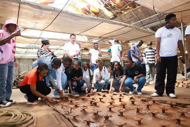 Intl friends kick off a journey of TCM culture in Nantong