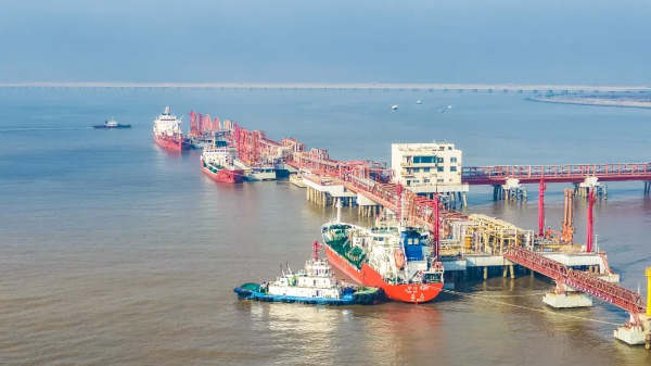 1767176764514047642.jpg 图片12.jpg