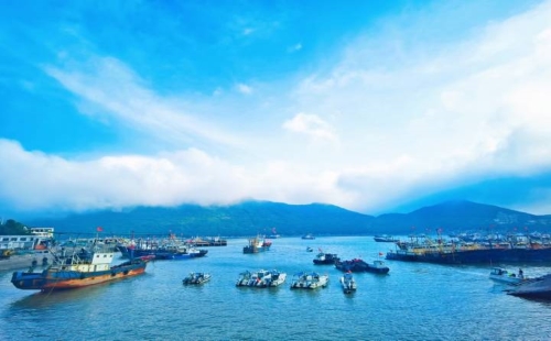 Zhejiang to strengthen governance in ocean and fisheries