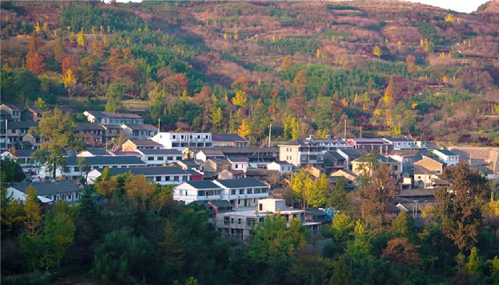 Autumn views in Zhangshui town enchant visitors