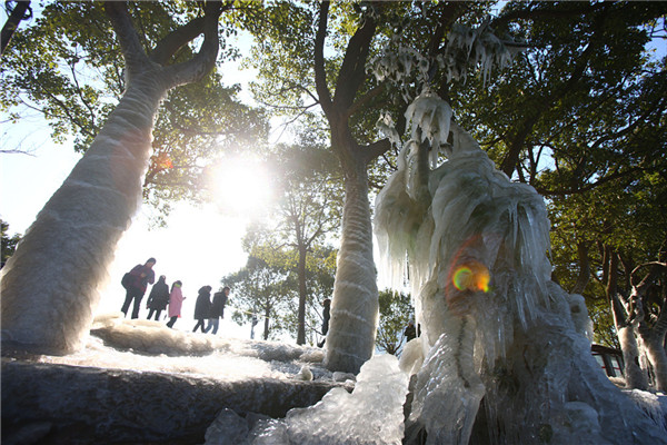 Icicles form as cold air sweeps Ningbo