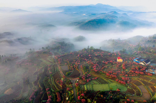 Captivating aerial views of Dalan town in Yuyao