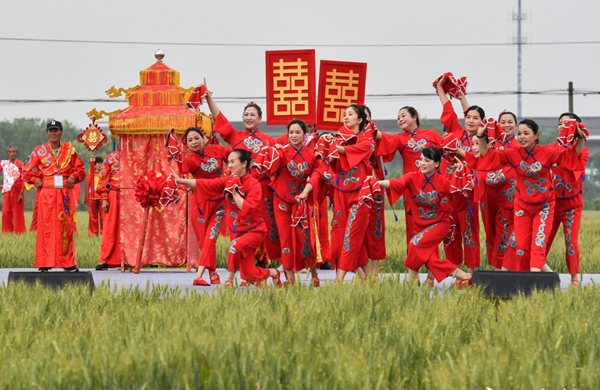 Villagers stage concert in paddy field