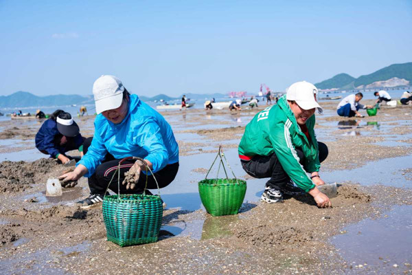 Come forage coastal waters in Ninghai Bay