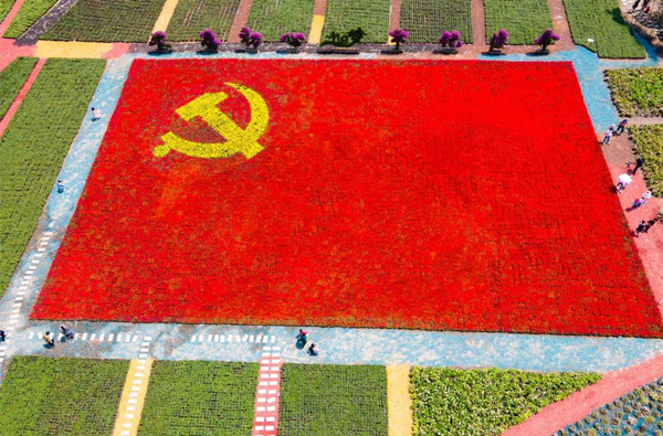 Party flag pattern created with flowers in Ninghai