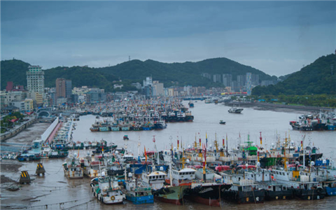 Zhejiang raises emergency response as Typhoon Muifa approaches