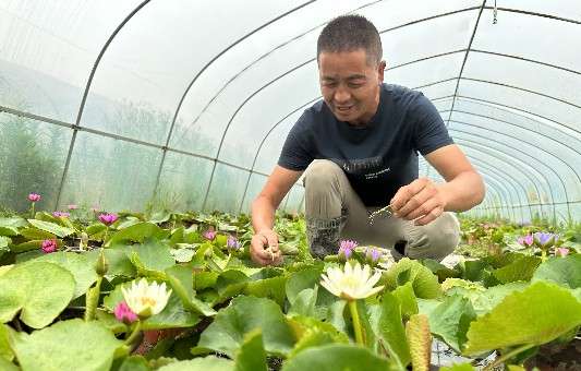 Flowers promote rural development