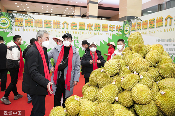 Belt and Road Initiative makes imported durians more affordable in China