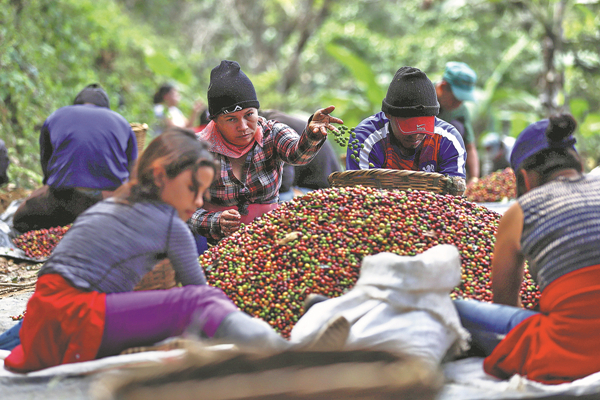 Coffee drinking culture perks up in China