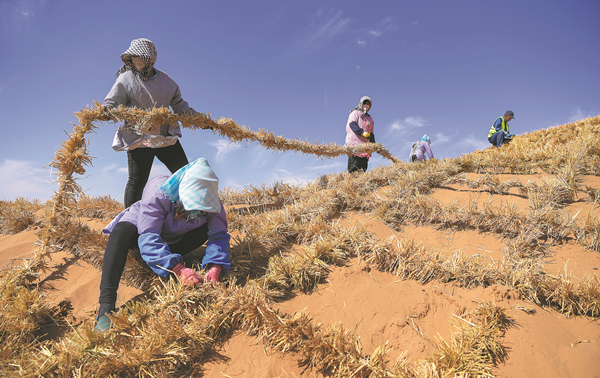 China leads in combating desertification