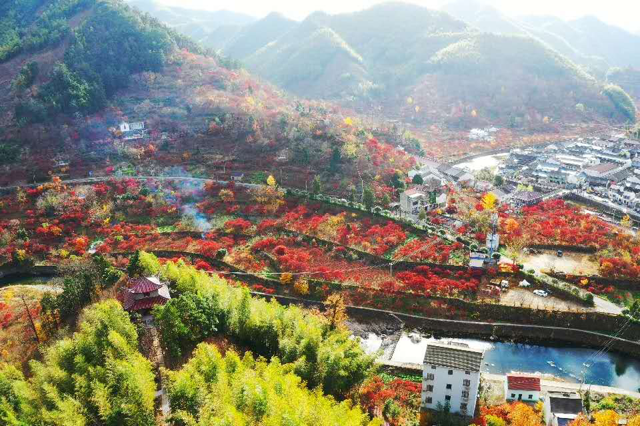 Snapshots of Siming Mountain in late autumn