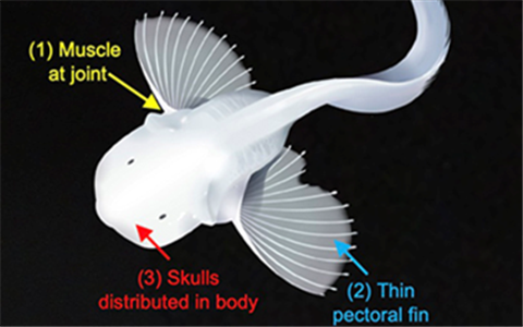 Soft robot for deep-sea exploration listed as one of China's top 10 scientific breakthroughs in 2021