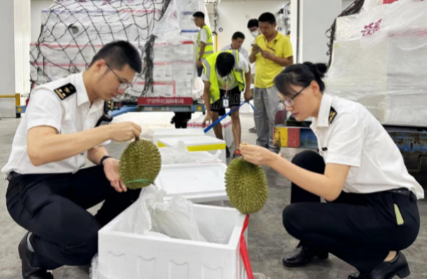 Ningbo imports Malaysian fresh durians via air