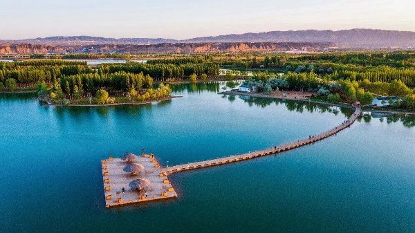 1764923004492083127.jpg 图片8.jpg