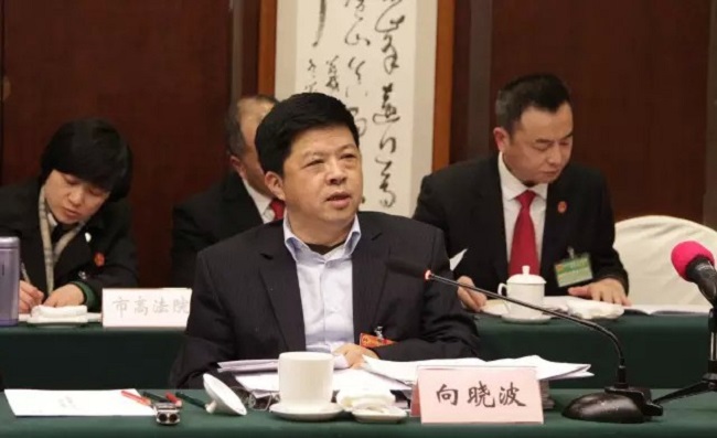 NPC deputy Xiang Xiaobo: Chinese enterprises go global through technological innovation.jpg