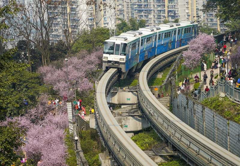 NPC deputy Zhang Jie: Recommend to discover new popular tourist spots along rail transit.jpg