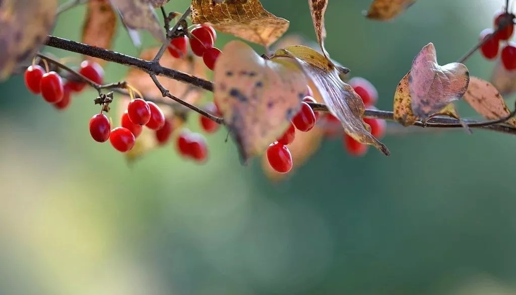 1539824709167018387.jpg 1539824709167018387.jpg