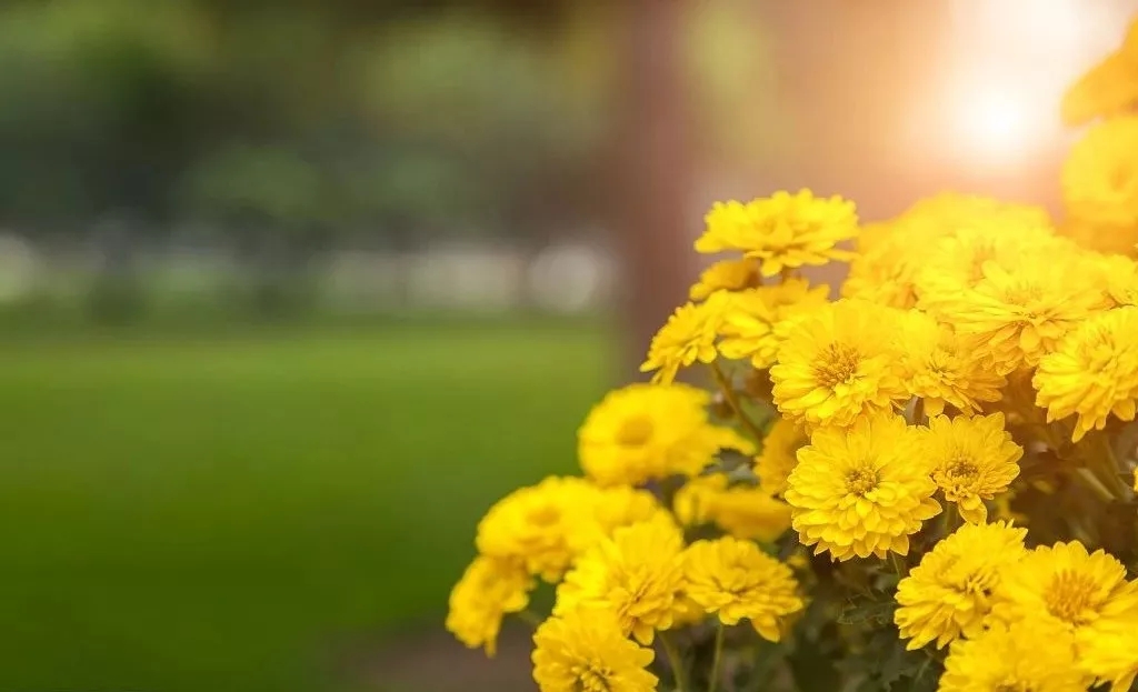 1539824764935058857.jpg 1539824764935058857.jpg