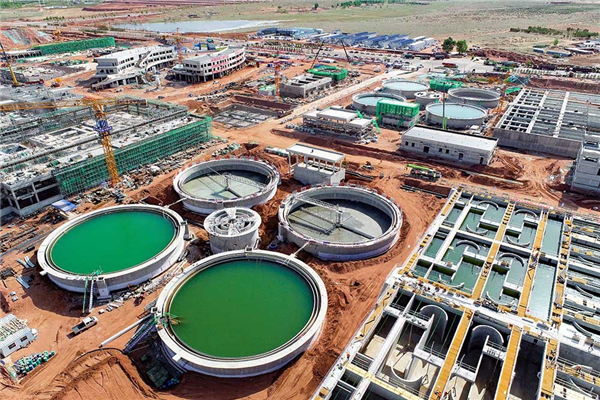 1684396667762005787.jpg 图片25_副本.jpg