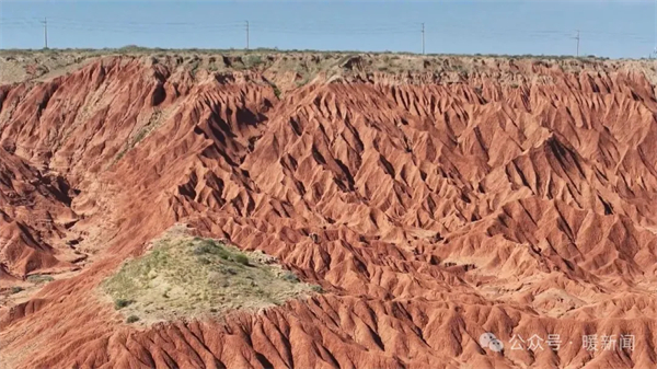 1753350010208087169.jpg 图片9.jpg