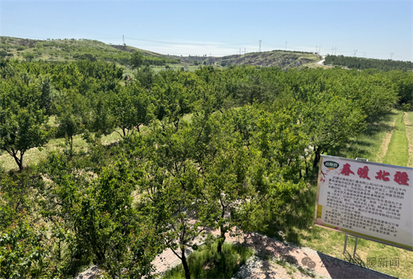 1753432194853055125.jpg 图片12.jpg