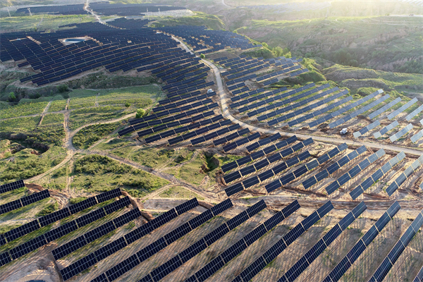 1756195433240022231.jpg 1247015798576644122.jpg