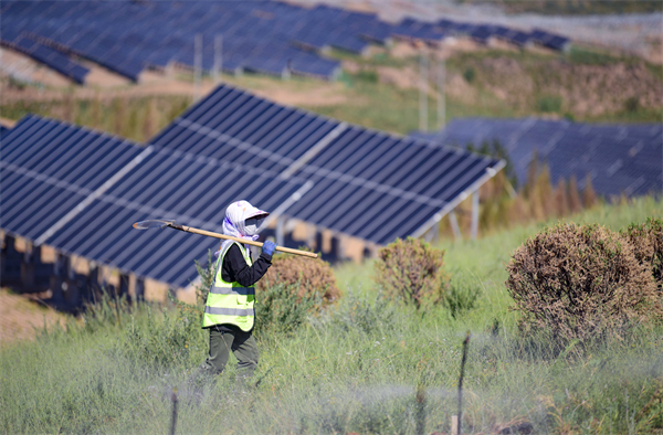 1756195491076010089.jpg 1247015798571401222.jpg